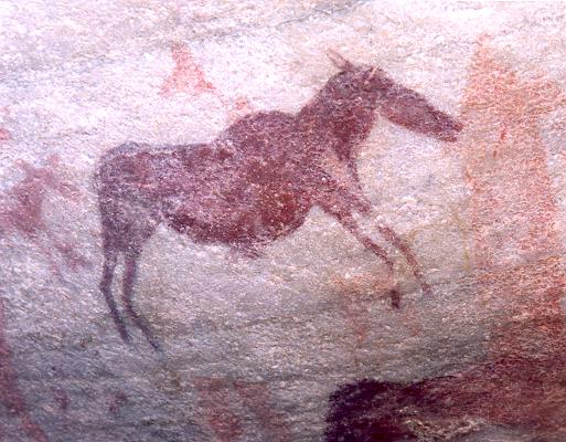 Sevilla site 9 quagga[PSwart]